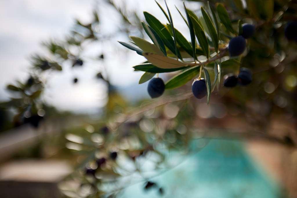 Angsana Corfu 5*